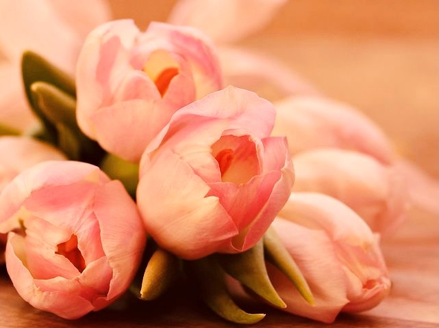 Fleurs  Bouquet de la St- Valentin ( Disponible du 11 au 14 fév. )